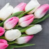 suejackson529